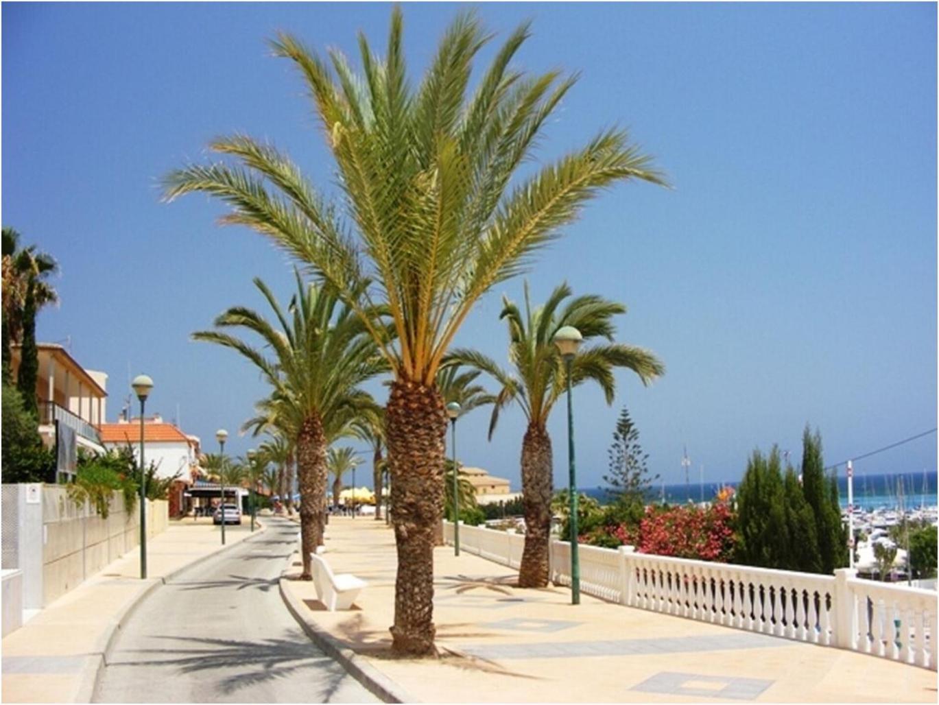 Torre De La Horadada - Modern And Comfortable 2 Bedroom Apartment Close To The Beach Torre de la Horadada エクステリア 写真